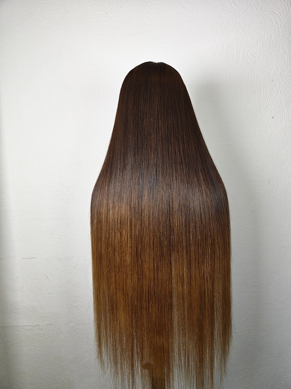 Bella - Image 4